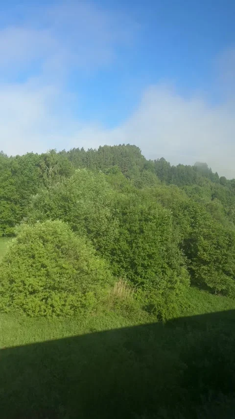 Moving landscape perspective, verdant forest growth, expansive pasture land, Stock Footage 336630108