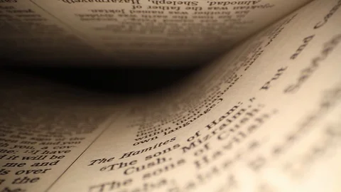 Moving laterally through a book right to left, bottom page curls below as Stock Footage 116102842
