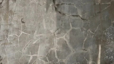 Moving Leaf Shadows on a Weathered Concrete Wall in Natural Sunlight Close Up Stock Footage 341869297