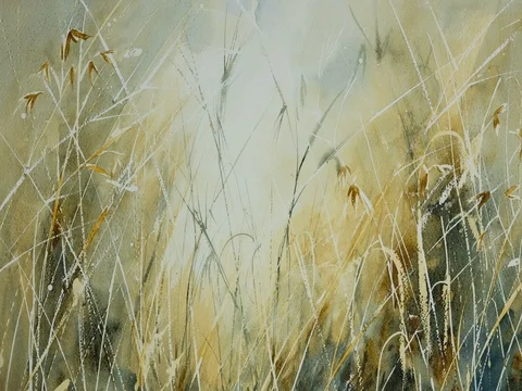 Moving into the light Stock Footage 76751135