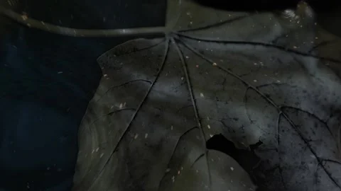 Moving light spots on the surface of dark water Stock Footage 136967935