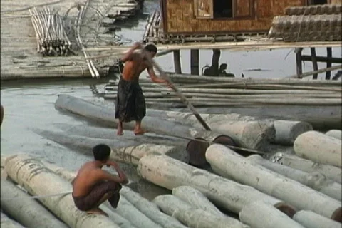 Moving logs Myanmar 스톡 동영상 465713