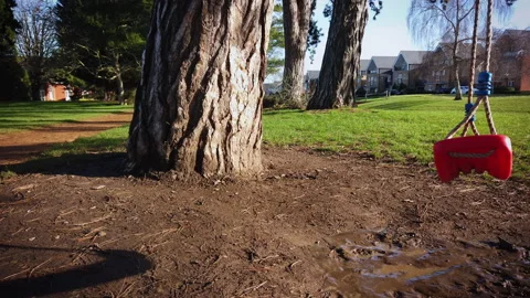 Moving lonely red plastic swing hangs above mud on big tree at covid time 4k Stock Footage 147903172