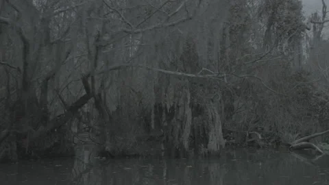 Moving LR eerie swamp 2 Stock Footage 169194005