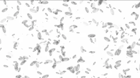 Moving microbe Stock Footage