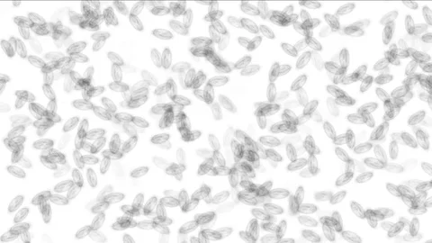 Moving microbes Video stock 72388051