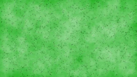 Moving microbes motion graphics with green screen background Stock Footage 152636384