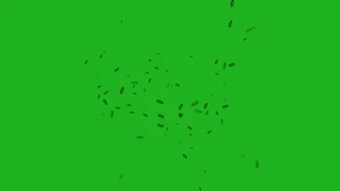 Moving microbes motion graphics with green screen background Stock Footage 158940413