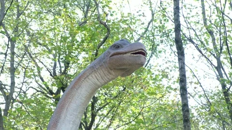 Moving models of dinosaurs, they are in the US amusement park. Jurassic Park. Stock Footage 171995371