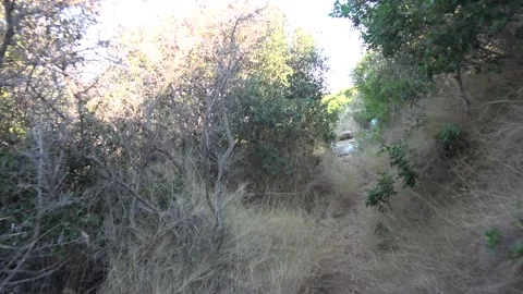 Moving on a mountain path POV Stockbeeldmateriaal 161366464