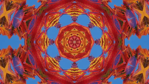Moving multicolored kaleidoscope patterns. looped abstract animation. 3d render Stock Footage 154391459