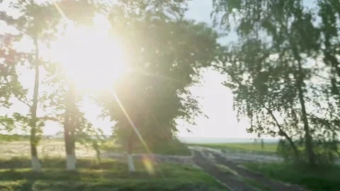 Moving natural objects from the car window. Travel and travel. Stock Footage 156950061