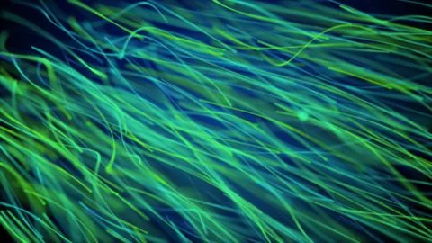 Moving network of lines with long trails in space, effect of drops of the rain Stock Illustration