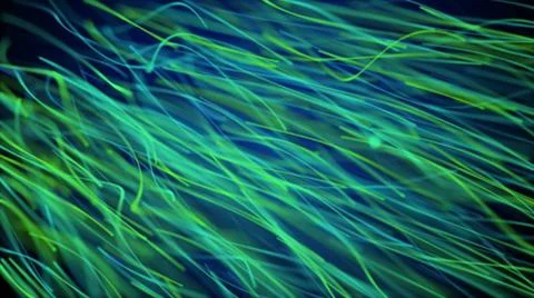 Moving network of lines with long trails in space, effect of drops of the ... Stock Photos