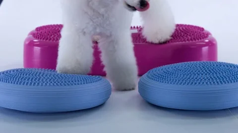 Moving from one blue object to another Stock Footage 83772789