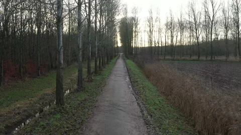 Moving or walking over a small footpath next to a forest and a meadow in winter Stock Footage 142751289