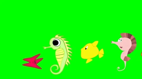 Moving in order and regular group of marine aquatics to left, starfish, shrimp, Stock Footage 285951314