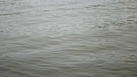 Moving over / along water surface, lake - left to right Stock Footage 103492829