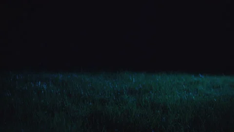 Moving over grass in the dark Stock Footage 147659599
