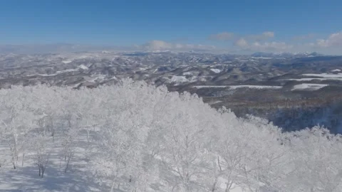 Moving over icy trees and snowy winter landscape Stock Footage 244434815