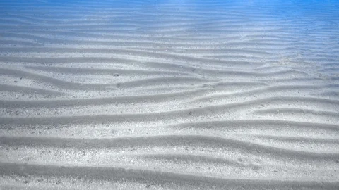 Moving over ripple sandy sea floor Stock Footage 87908150