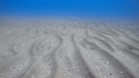 Moving over rippled sandy sea floor Video stock 87910890