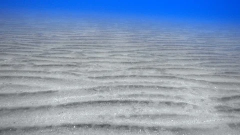 Moving over rippled sandy seabed Stock Footage 87912789