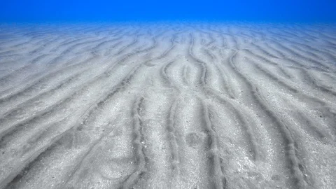 Moving over rippled sandy seabed Stock Footage 87912918