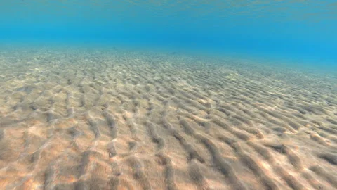 Moving over the sandy seabed with reflections of refracted sun rays Stock-Footage 302501797