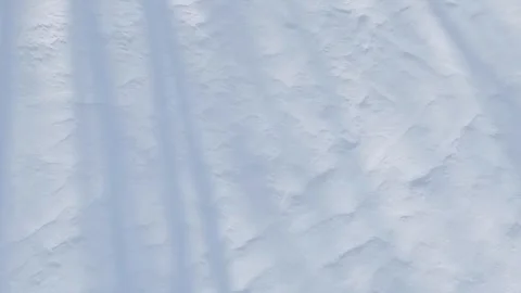 Moving over tree shadows and fresh white snow Stock Footage 243641739