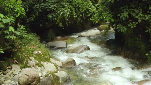 Moving over a tropical river with a quick current and crystal clear water Video stock 146351780