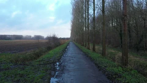 Moving over a walking path and going upwards to the top of the trees to have a Stock Footage 142751352