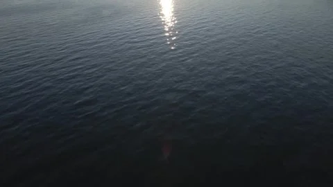 Moving Over Water With Panning Up Camera Movement Stock Footage 158272651