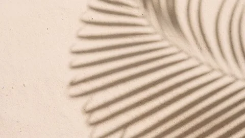 Moving palm leaf shadow on the beach. Stockbeeldmateriaal 250962471