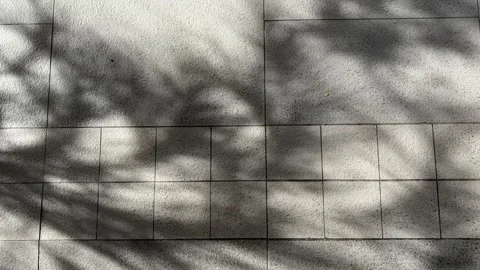 Moving Palm Leaf Shadows on Stone Pavement, Tropical Sunlight HD Video 库存影片 336372916