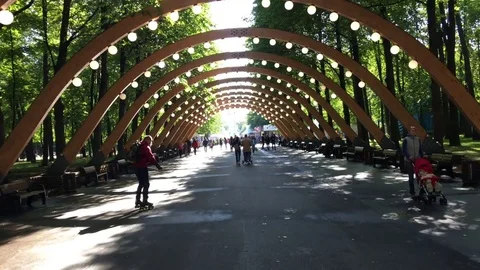 Moving in the park Stock Footage 83049092