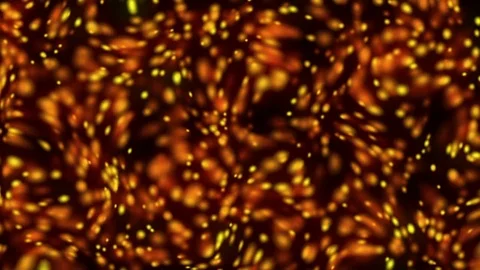 Moving particles, bubbles. Animation. Video stock 75495016