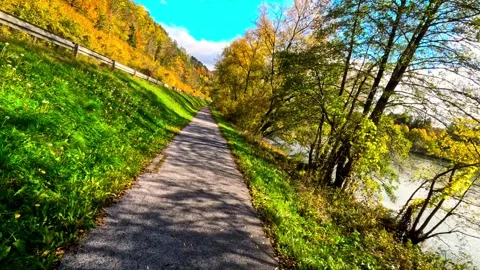 Moving past autumn colored trees near a river Stock Footage 320318565