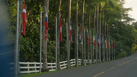 Moving past a queue of national flags on... | Stock Video | Pond5