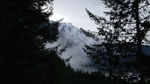 Moving Past Trees To Reveal Large Mountains With Snow In British Columbia 01 Video stock 77611877