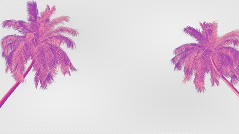 Moving Past Two Colourful Palm Trees Stock Footage 307423232