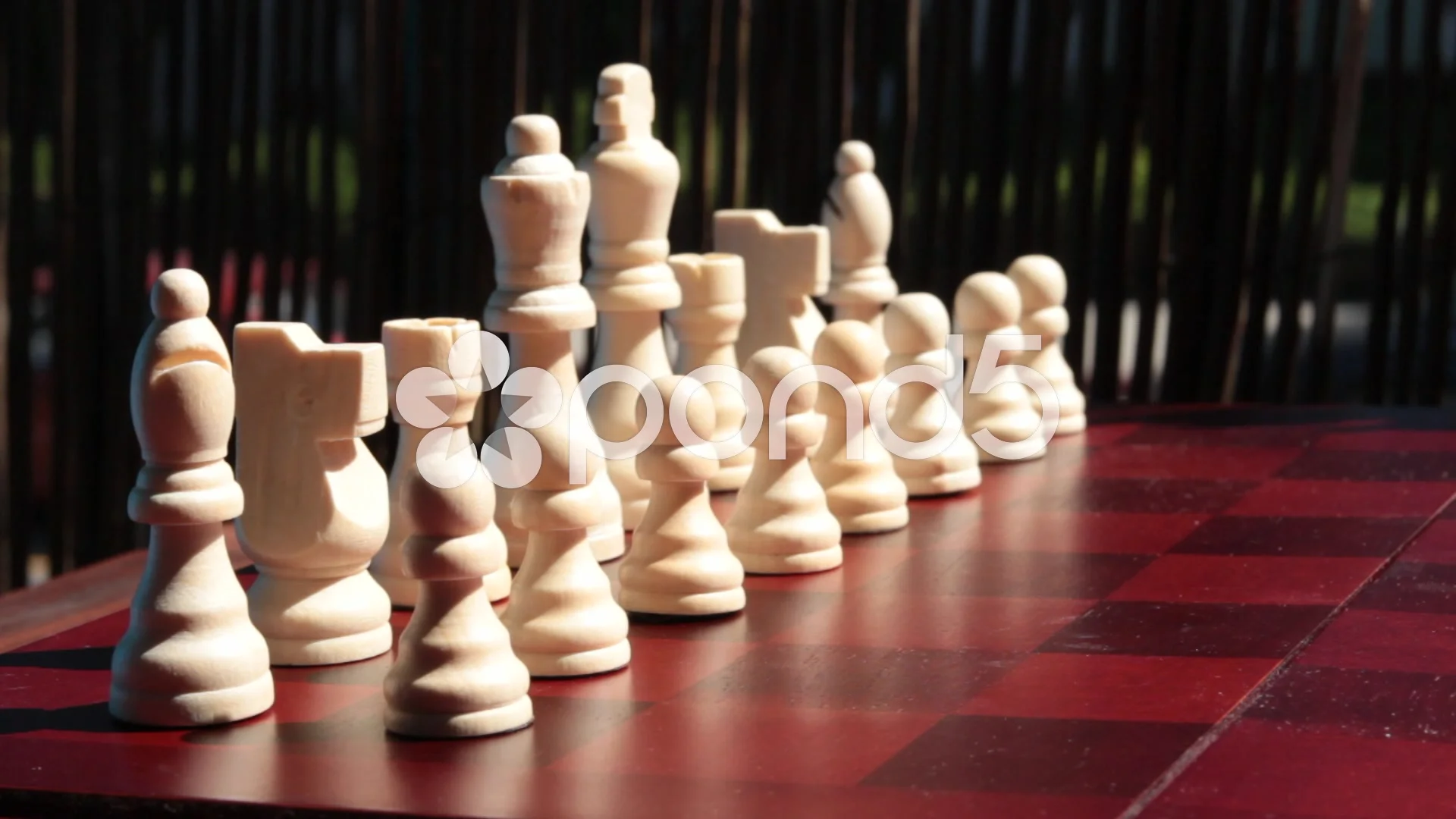 3,100+ Queen Chess Piece Stock Videos and Royalty-Free Footage