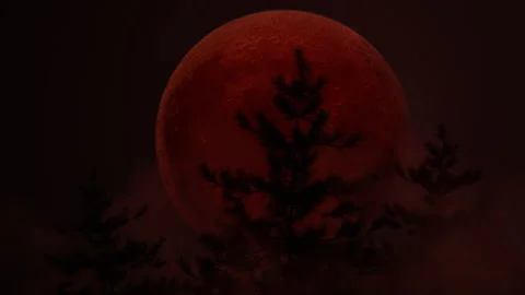 Moving pine trees in front of big red moon Stock Footage 281262101