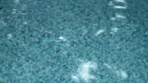 Moving Pool Water with Foliage Debris Video stock 41925143