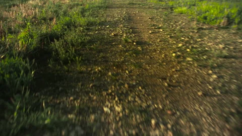 Moving quickly along dirt path Stockbeeldmateriaal 171720695