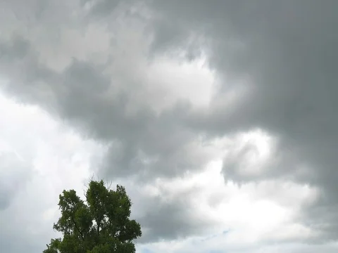 Moving of rain clouds over the tree in rainy season of Thailand. 库存影片 77210364