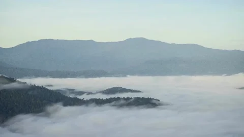 Moving Rainforest Clouds Over the mountain Stock Footage 148790447