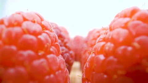 Moving raspberries on top of the table Stock Footage 135699710