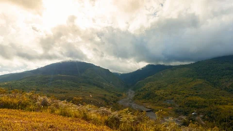 Moving ray of sunlight Video stock 95412632