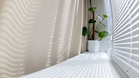 The moving rays of the sun through the blinds on the window on a summer day Stock Footage 105460041